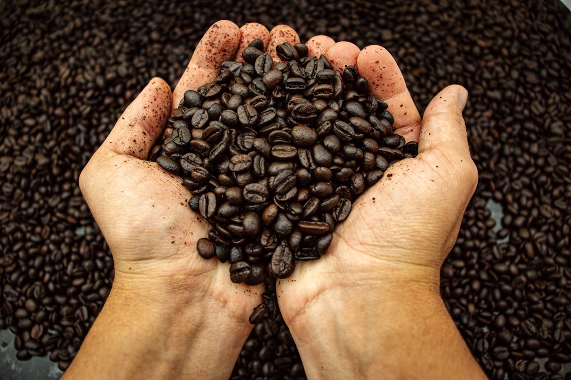 Ethiopian Coffee Beans
